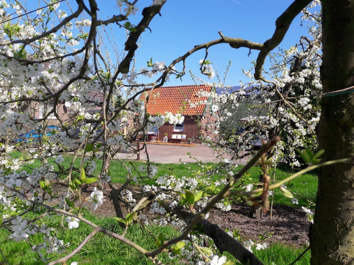 Gemütliches Häuschen im Alten Land Jork Exterior foto