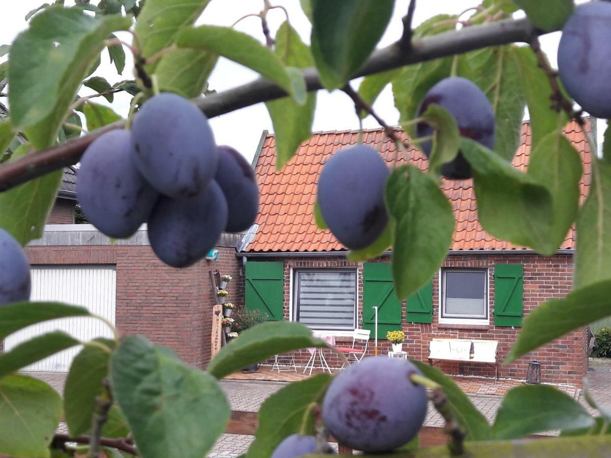 Gemütliches Häuschen im Alten Land Jork Exterior foto